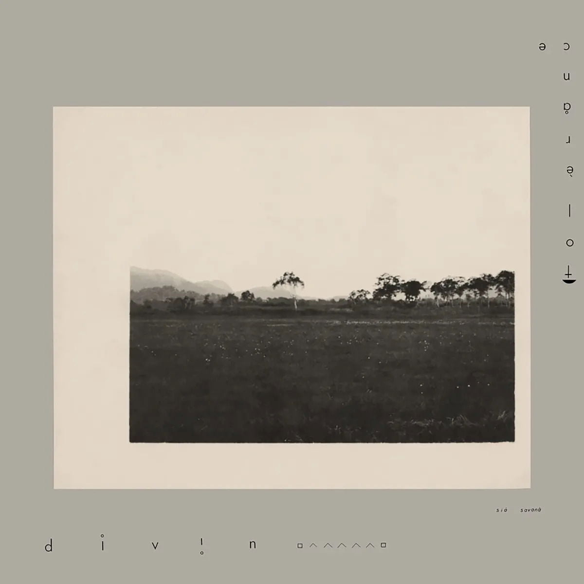 |  Vinyl LP | Tolerance - Divin 1981 (2 LPs) | Records on Vinyl