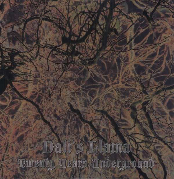 |  Vinyl LP | Dali's Llama - Twenty Years Underground (LP) | Records on Vinyl