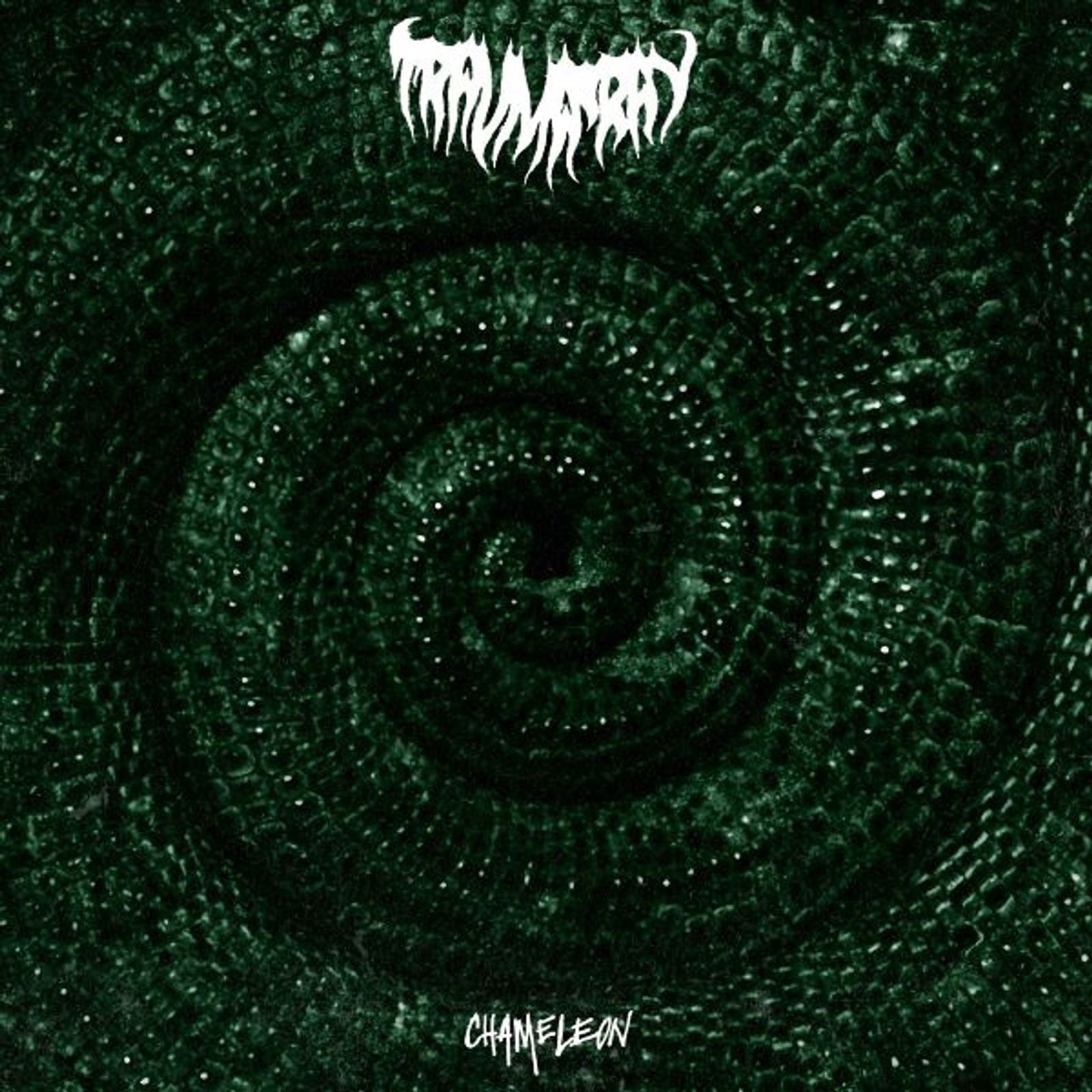 |  Vinyl LP | Trauma Ray - Chameleon (LP) | Records on Vinyl