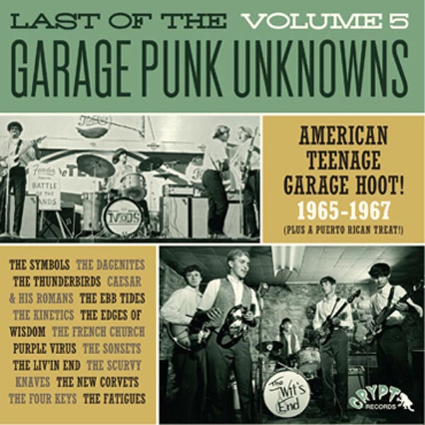 |  Vinyl LP | V/A - Last of the Garage Punk Unknowns 5 (LP) | Records on Vinyl