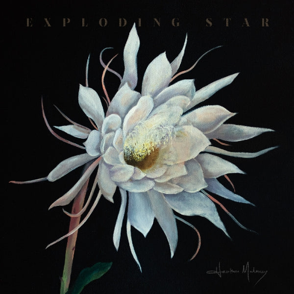 |   | Heather Maloney - Exploding Star (LP) | Records on Vinyl