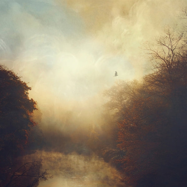 |  Vinyl LP | Stray Theories - This Light (LP) | Records on Vinyl