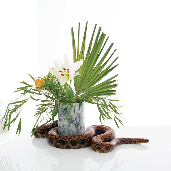 |   | Noah Gundersen - White Noise (2 LPs) | Records on Vinyl