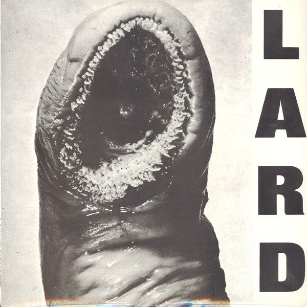|  12" Single | Lard - Power of Lard (Single) | Records on Vinyl