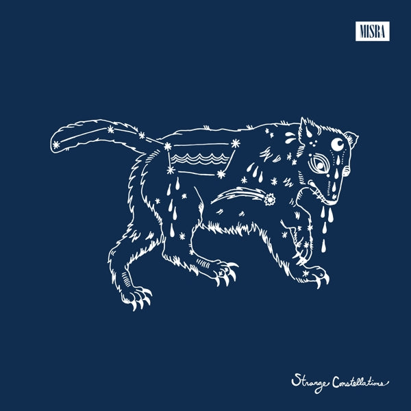 |  Vinyl LP | William Matheny - Strange Constellations (LP) | Records on Vinyl