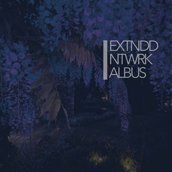 |  Vinyl LP | Extnddntwrk - Albus (2 LPs) | Records on Vinyl