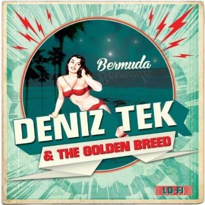 |  12" Single | Deniz -& the Golden Breed- Tek - Bermuda (Single) | Records on Vinyl