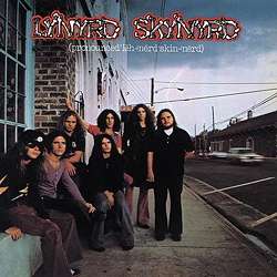 |  Vinyl LP | Lynyrd Skynyrd - Pronounced Leh-Nerd Skin-Nerd (2 LPs) | Records on Vinyl