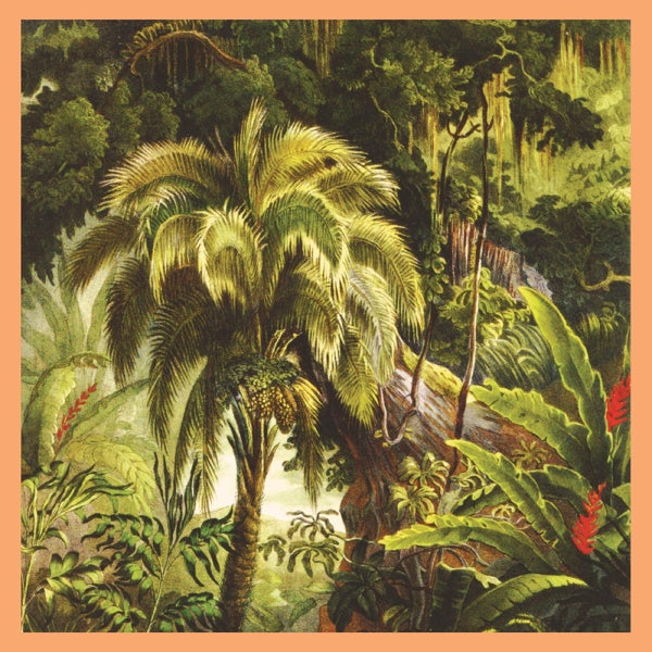 |  Vinyl LP | Xiu Xiu - La Foret (LP) | Records on Vinyl