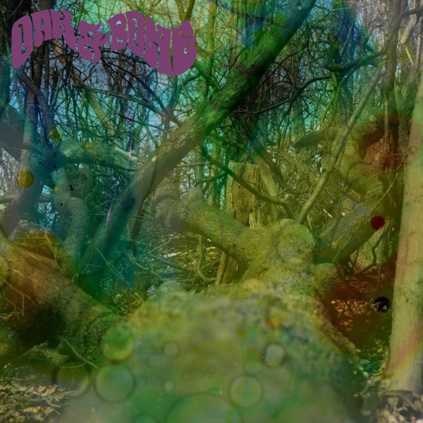 |  Vinyl LP | Oak & Bone - Oak & Bone (LP) | Records on Vinyl