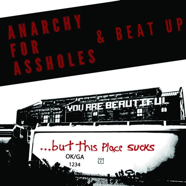 |  Vinyl LP | Anarchy For Assholes & Beat Up - You Are Beautiful... But This Place (LP) | Records on Vinyl