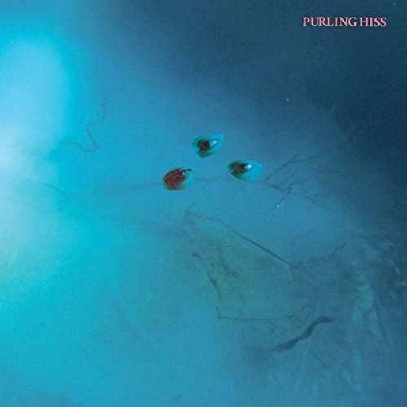 |  Vinyl LP | Purling Hiss - High Bias (LP) | Records on Vinyl