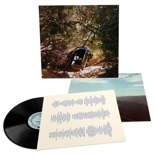 |   | Ty Segall - Possession (LP) | Records on Vinyl