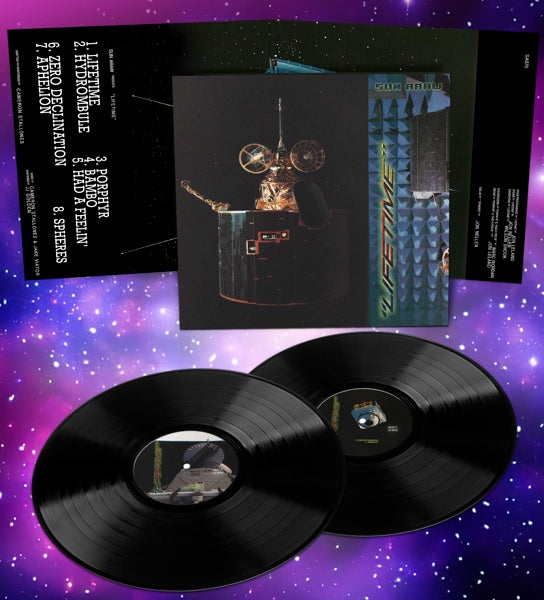 |   | Sun Araw - Lifetime (2 LPs) | Records on Vinyl