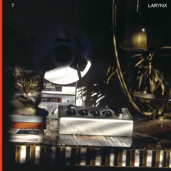 |  Vinyl LP | Lary 7 - Larynx (2 LPs) | Records on Vinyl