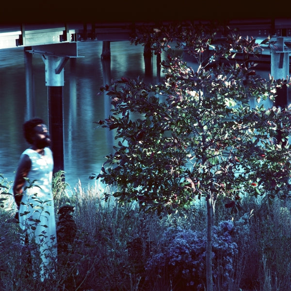 |  Vinyl LP | Jjjjjerome Ellis - Vesper Sparrow (LP) | Records on Vinyl