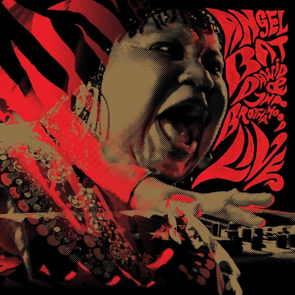 |  Vinyl LP | Angel Bat & Tha Brotherhood Dawid - Live (2 LPs) | Records on Vinyl