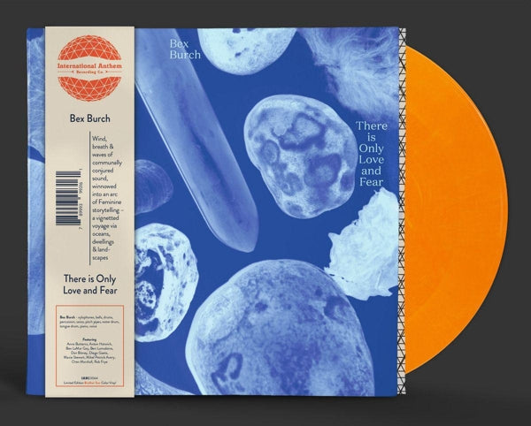 |  Vinyl LP | Bex Burch - There is Only Love and Fear (LP) | Records on Vinyl