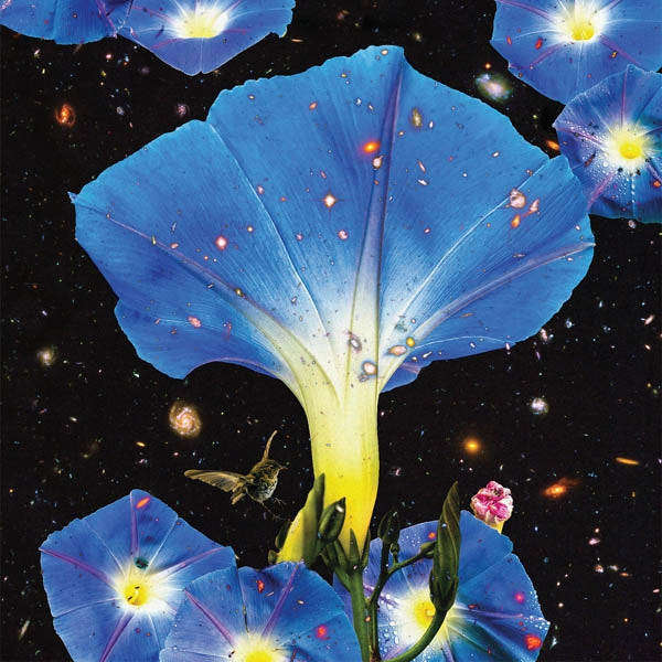|  Vinyl LP | Sarah Louise - Nighttime Birds and Morning Stars (LP) | Records on Vinyl