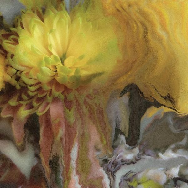 |  Vinyl LP | Parker Millsap - Wilderness Within You (LP) | Records on Vinyl