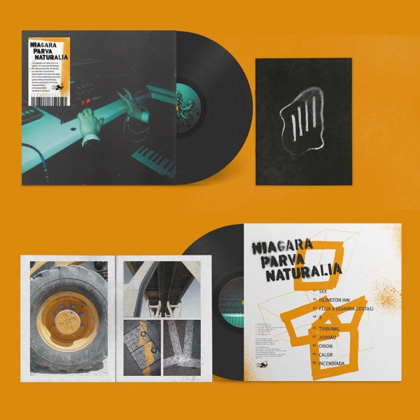 |  Vinyl LP | Broadcast - Mother is the Milky Way (LP) | Records on Vinyl