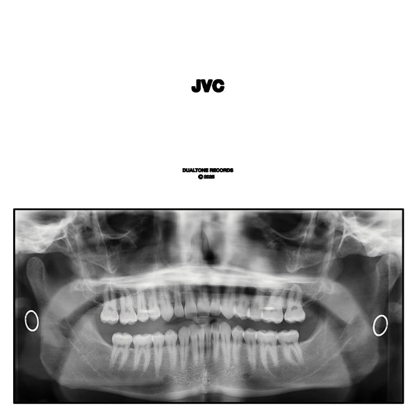 |  Vinyl LP | Jack Van Cleaf - Jvc (2 LPs) | Records on Vinyl