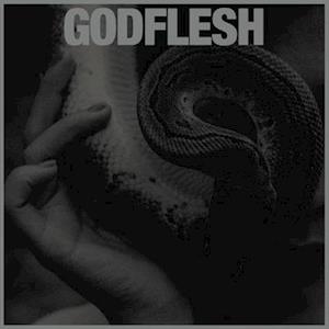 |  Vinyl LP | Godflesh - Purge (LP) | Records on Vinyl