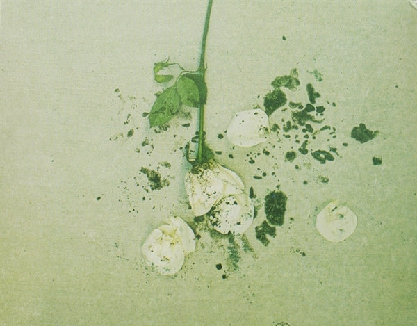 |   | Everything In Slow Motion - Laid Low (Single) | Records on Vinyl