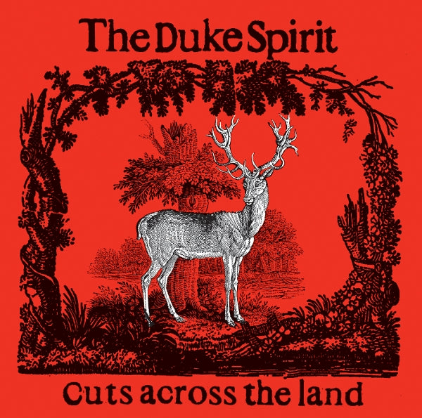 |  Vinyl LP | Duke Spirit - Cuts Across the Land (2 LPs) | Records on Vinyl