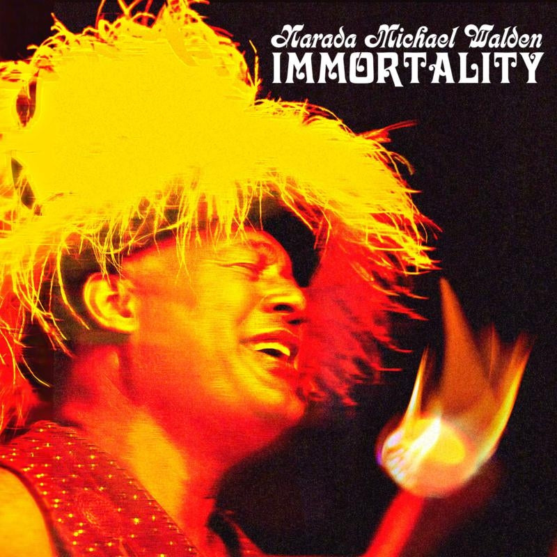 |  Vinyl LP | Narada Michael Walden - Immortality (LP) | Records on Vinyl