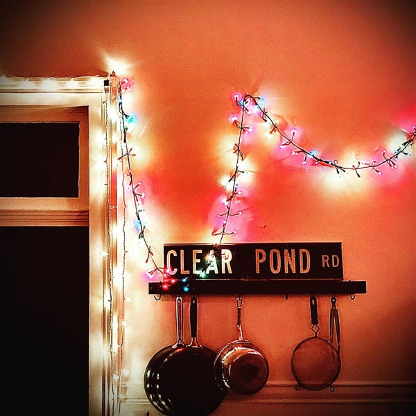 |  Vinyl LP | Kristin Hersh - Clear Pond Road (LP) | Records on Vinyl
