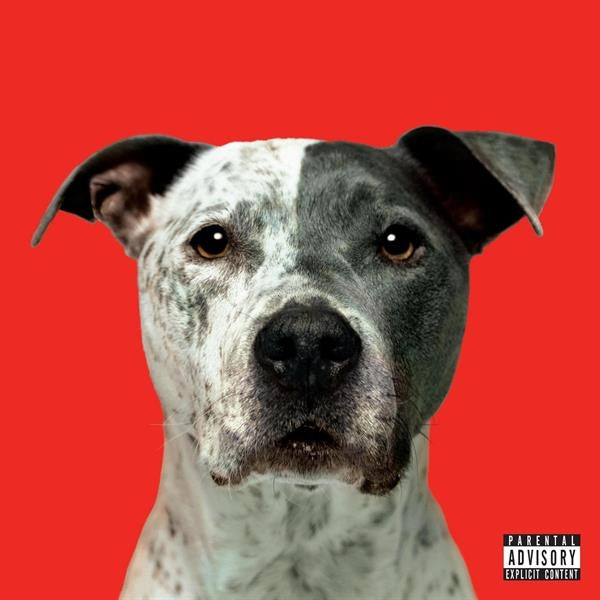 |  Vinyl LP | Hanni El Khatib - Flight (LP) | Records on Vinyl