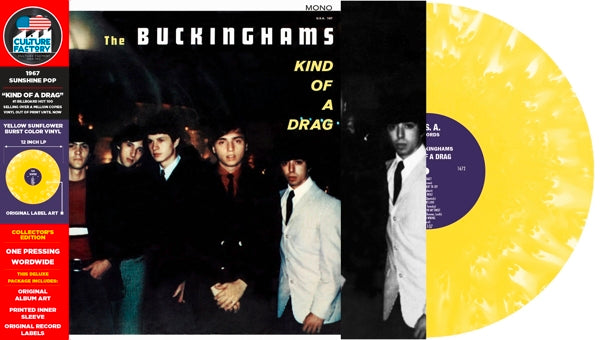 | | Buckinghams - Kind of a Drag (LP) | Records on Vinyl