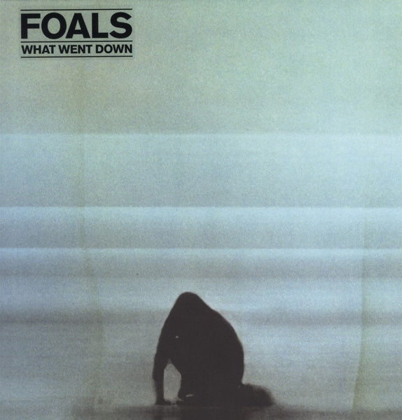 |  Vinyl LP | Foals - What Went Down (LP) | Records on Vinyl