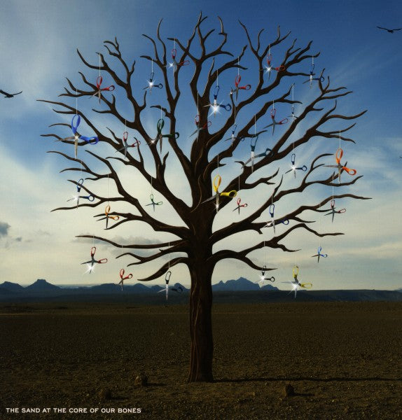 |   | Biffy Clyro - Opposites (2 LPs) | Records on Vinyl