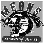 |  Vinyl LP | Means - Community Horse (LP) | Records on Vinyl
