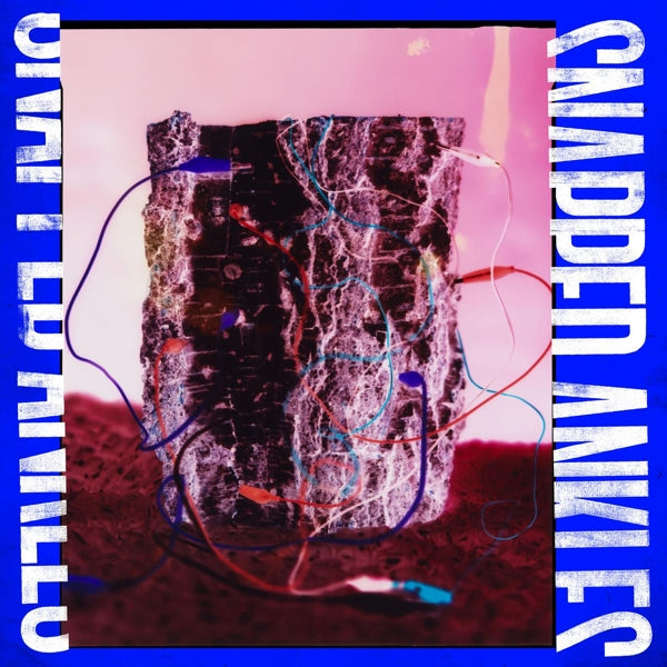|   | Snapped Ankles - Forest of Your Problems (LP) | Records on Vinyl