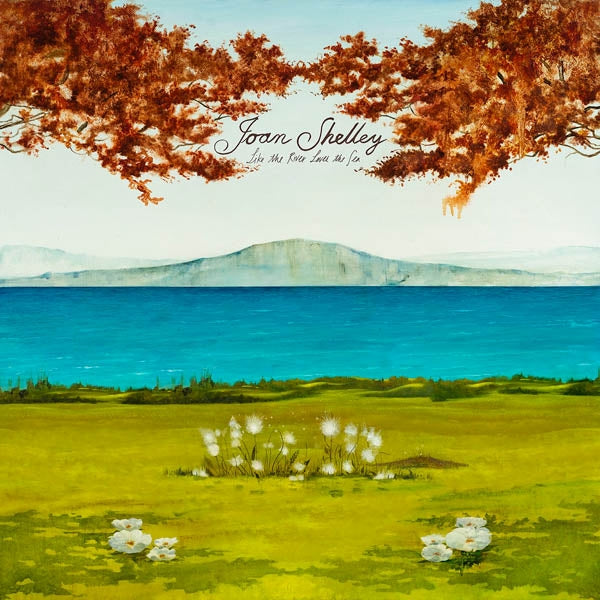 |   | Joan Shelley - Like the River Loves the Sea (LP) | Records on Vinyl