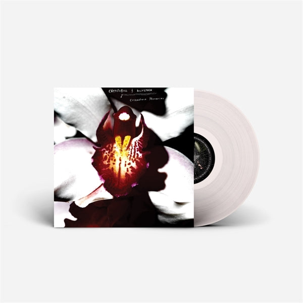 |  Vinyl LP | David & Chrystabell Lynch - Cellophane Memories (LP) | Records on Vinyl