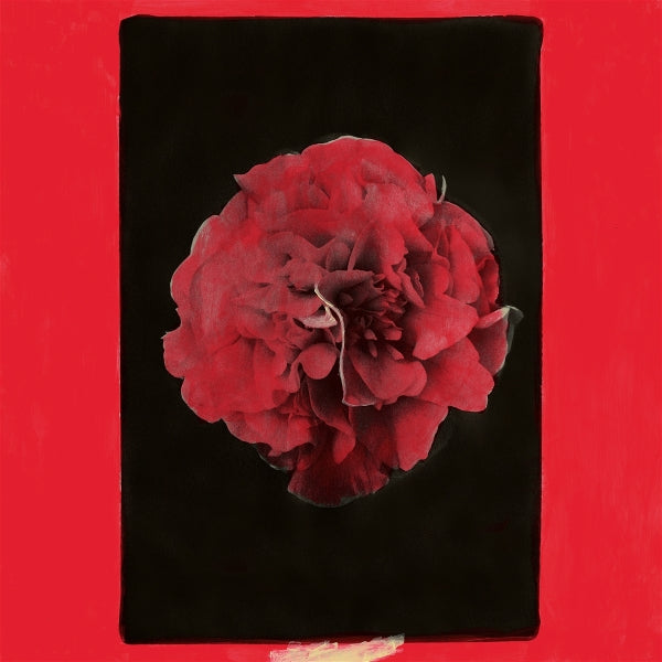 |  Vinyl LP | Activity - A Thousand Years In Another Way (LP) | Records on Vinyl