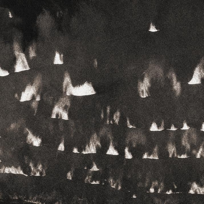 |  Vinyl LP | Heavy Winged - Fields Within Fields (LP) | Records on Vinyl