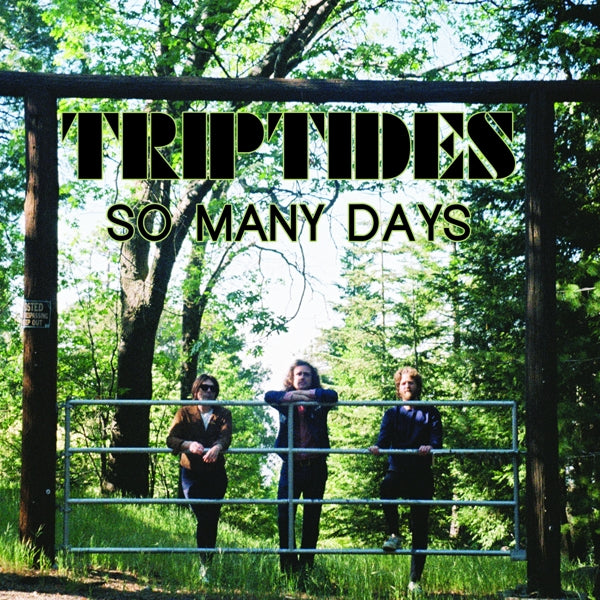 |  12" Single | Triptides - So Many Days (Single) | Records on Vinyl