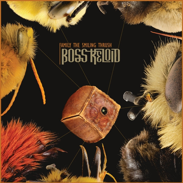|   | Boss Keloid - Family the Smiling Thrush (LP) | Records on Vinyl