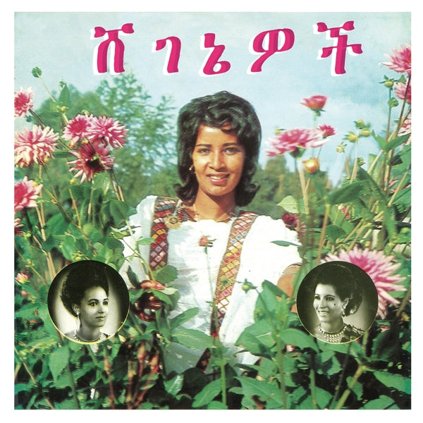 |  Vinyl LP | Aselefech & Getenesh Kebret Ashine - Beauties (LP) | Records on Vinyl