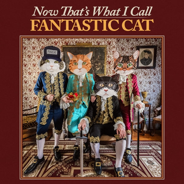 |  Vinyl LP | Fantastic Cat - Now That's What I Call Fantastic Cat (LP) | Records on Vinyl