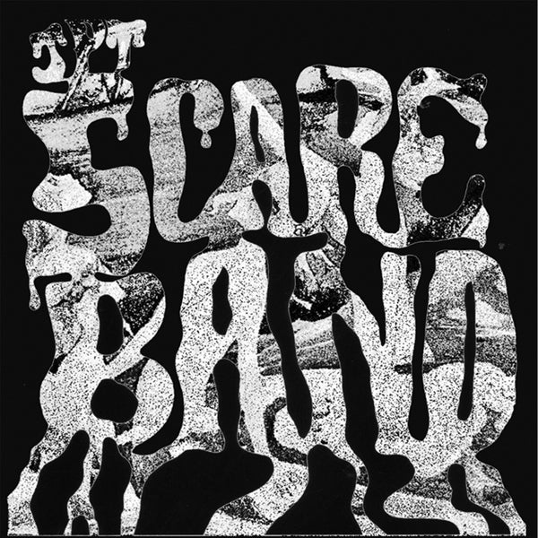 |  Vinyl LP | Jpt Scare Band - Acid Acetate Excursion/Rape of the Titan's Sirenes (2 LPs) | Records on Vinyl