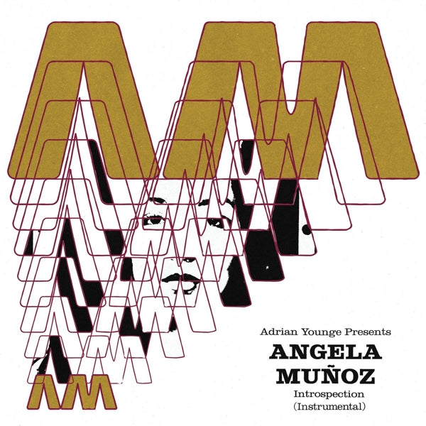 |  Vinyl LP | Angela Munoz - Introspection (Instrumentals) (LP) | Records on Vinyl