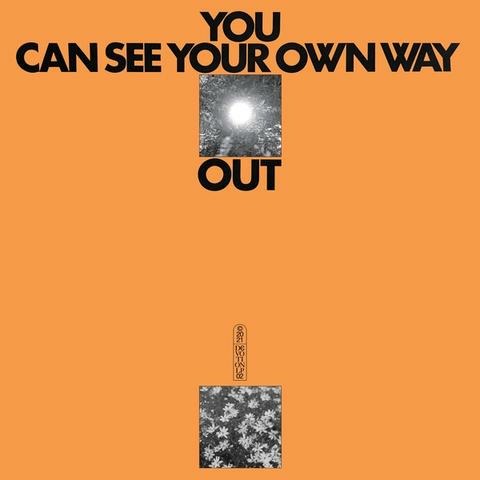 |  Vinyl LP | Jefre & Ilyas Ahmed Cantu-Ledesma - You Can See Your Own Way Out (LP) | Records on Vinyl
