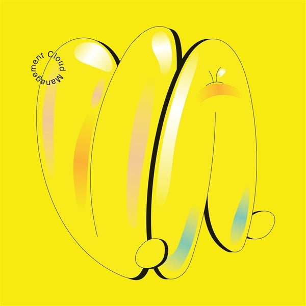 |  Vinyl LP | Cloud Management - V.A. (LP) | Records on Vinyl