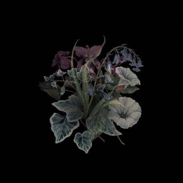 |  Vinyl LP | Nhor - Wildflowers (2 LPs) | Records on Vinyl